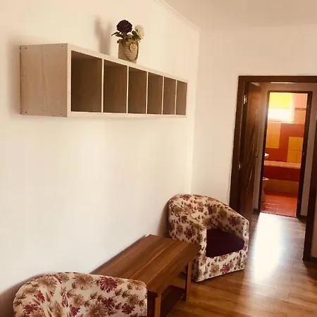Colorful Vibe Piatra Neamt